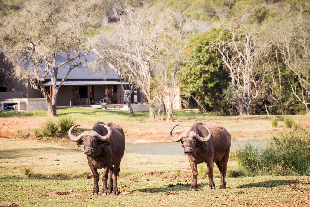 Botlierskop Bush Villas Sandhoogte Extérieur photo