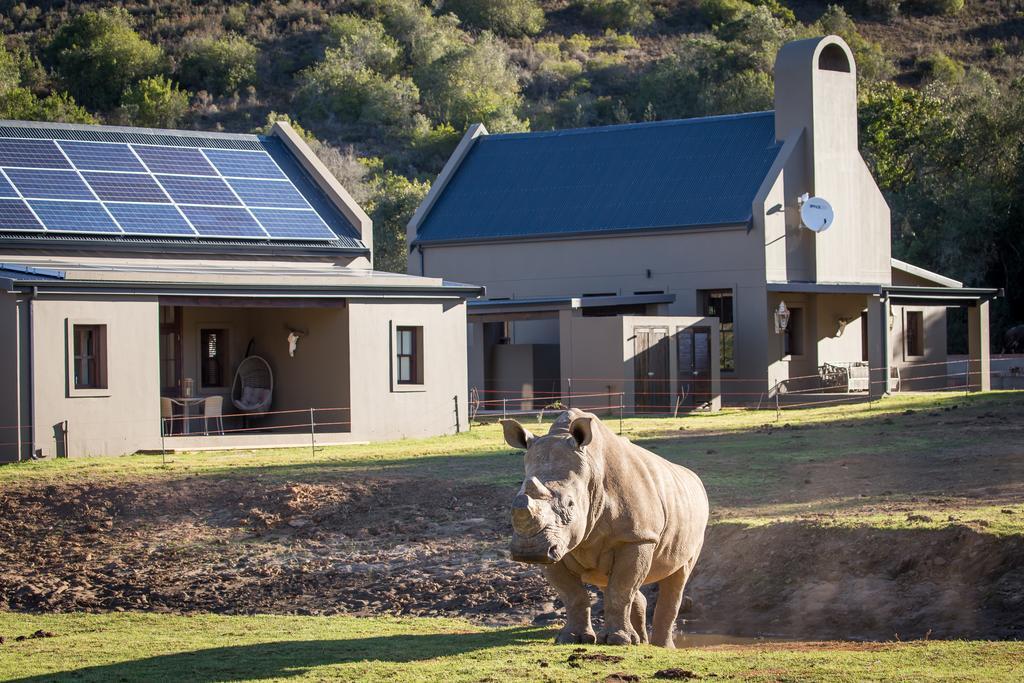 Botlierskop Bush Villas Sandhoogte Extérieur photo