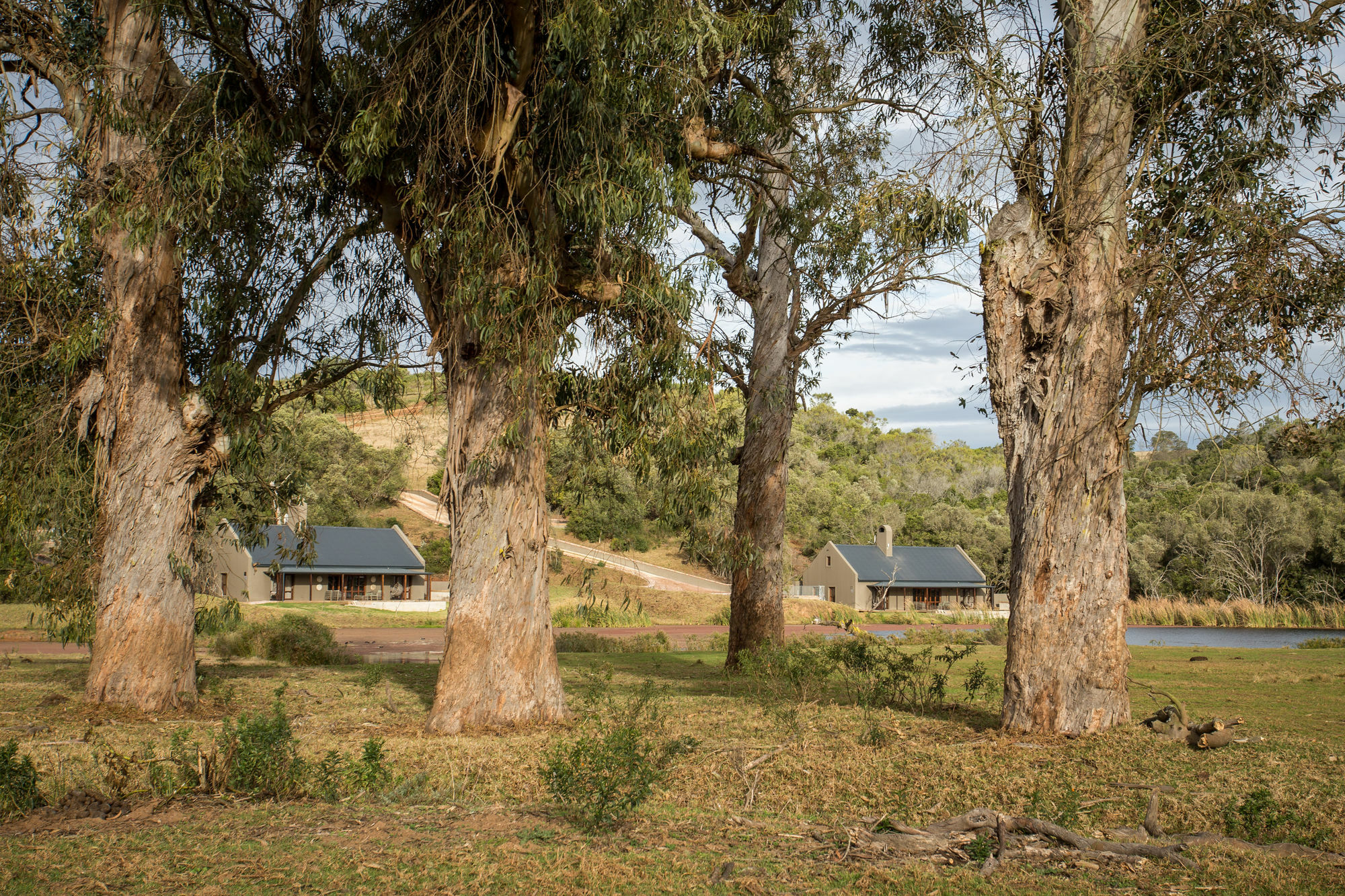 Botlierskop Bush Villas Sandhoogte Extérieur photo