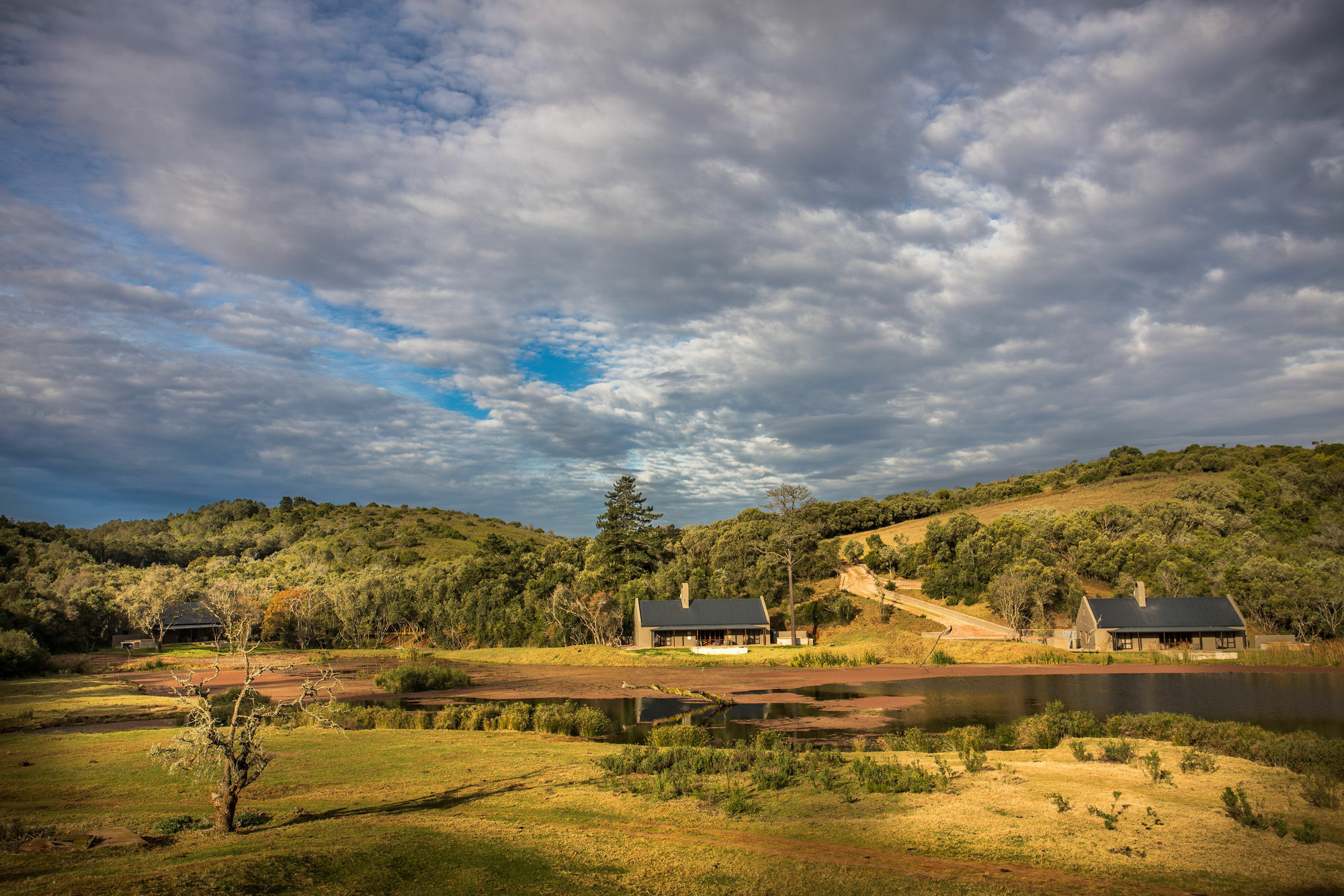 Botlierskop Bush Villas Sandhoogte Extérieur photo